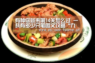 有种你就来第14关怎么过 一共有多少只笔图文攻略“九游APP下载”